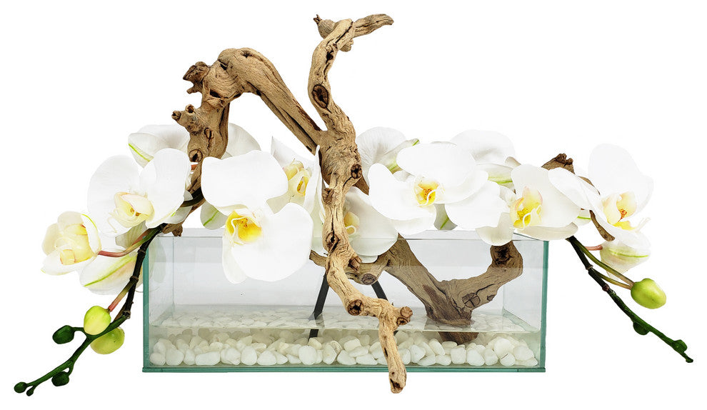 Phalaenopsis Orchid With Natural Wood in 12" Aquarium Vase, White