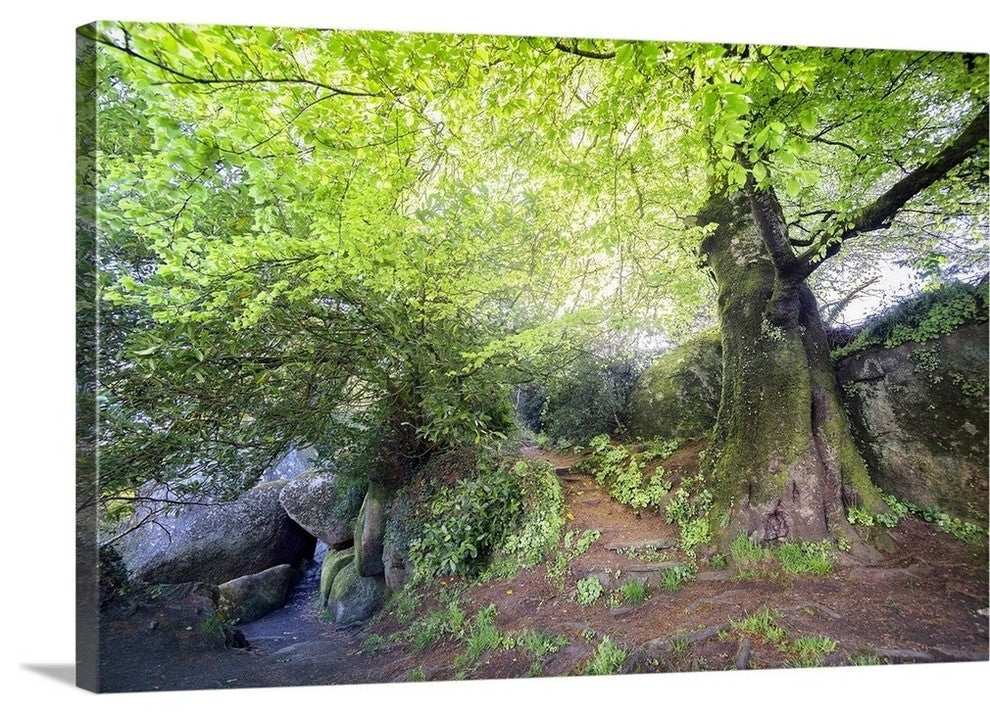 "Huelgoat Entrance" Wrapped Canvas Art Print, 24"x16"x1.5"