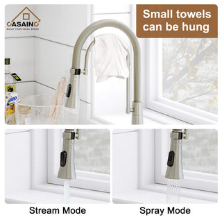 Single-Handle Spring Neck Standard Kitchen Faucet with Dual-Function, Brushed Nickel