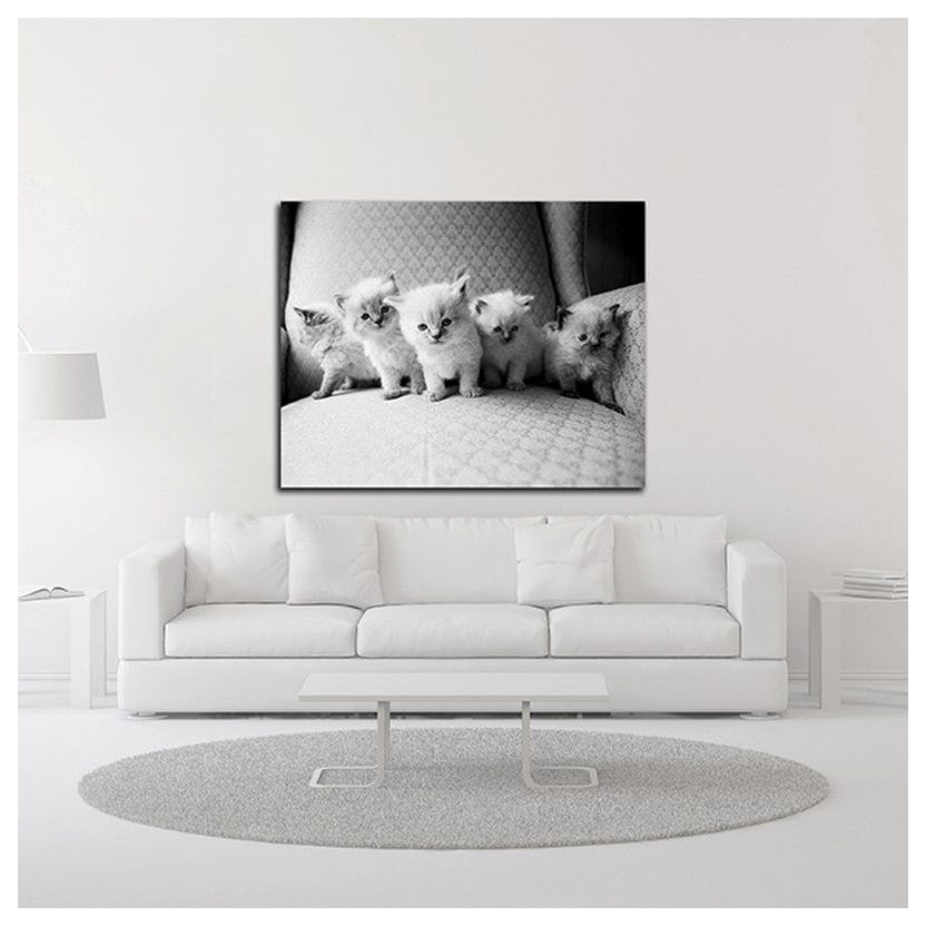 "Five Kittens" by Kim Levin, Print on Canvas, 20"x16"