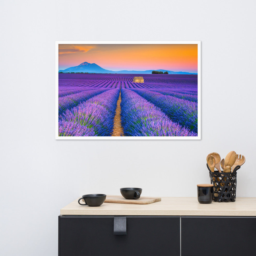 Blooming Lavender Field and Sunset Floral Landscape Framed Photo Wall Art Prints, White, 24" X 36"