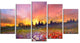 Field of Poppy Dandelion and Daisy, Floral Canvas Artwork, 60"x32", 5 Panels