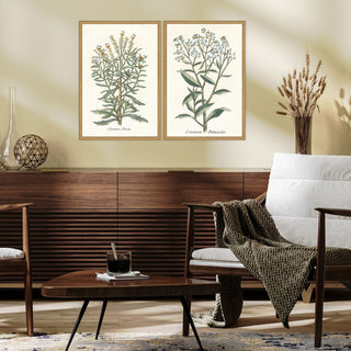 Botanical Plants I S/2