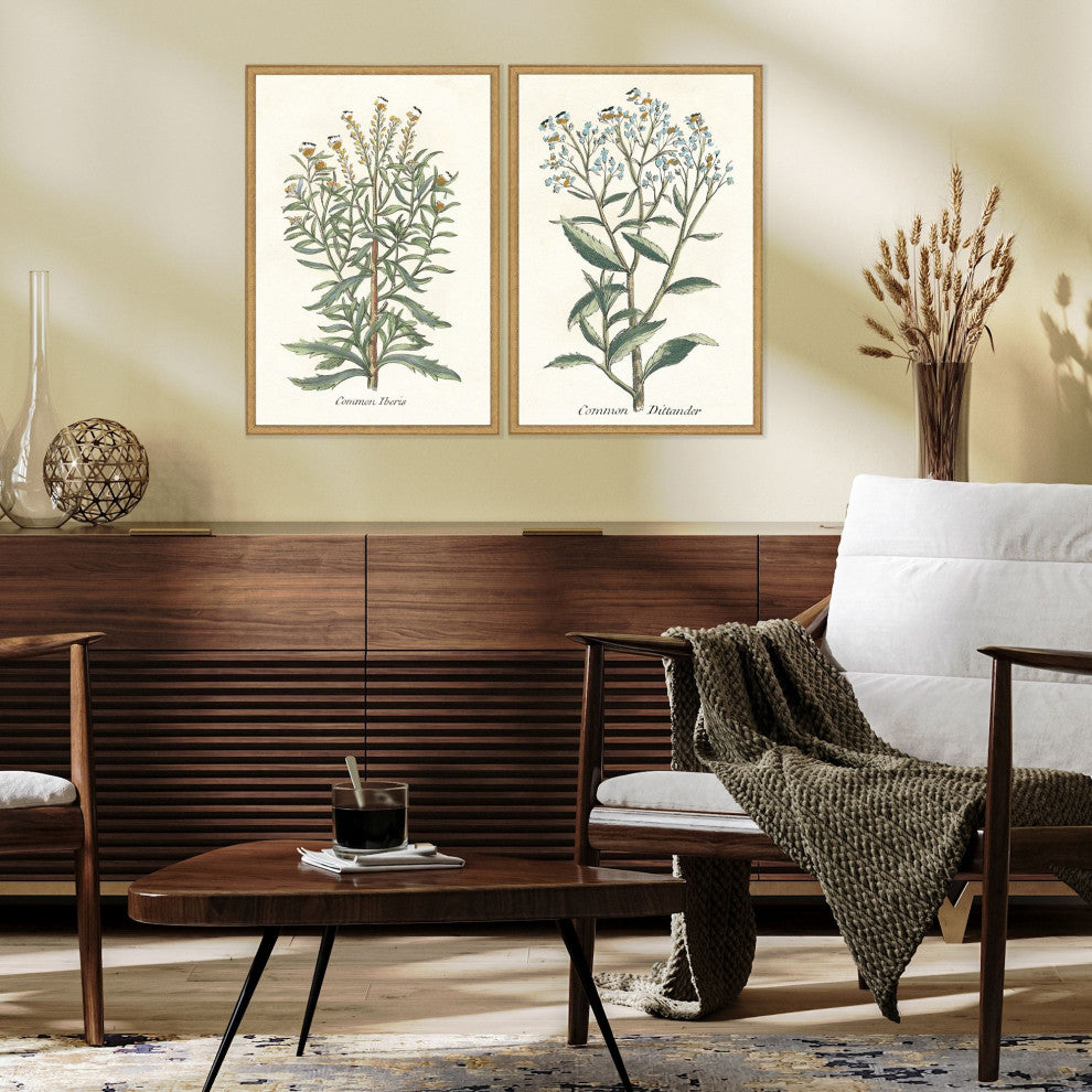 Botanical Plants I S/2