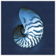 "Cyanotype Sea I" Digital Paper Print by Sue Schlabach, 42"x42"