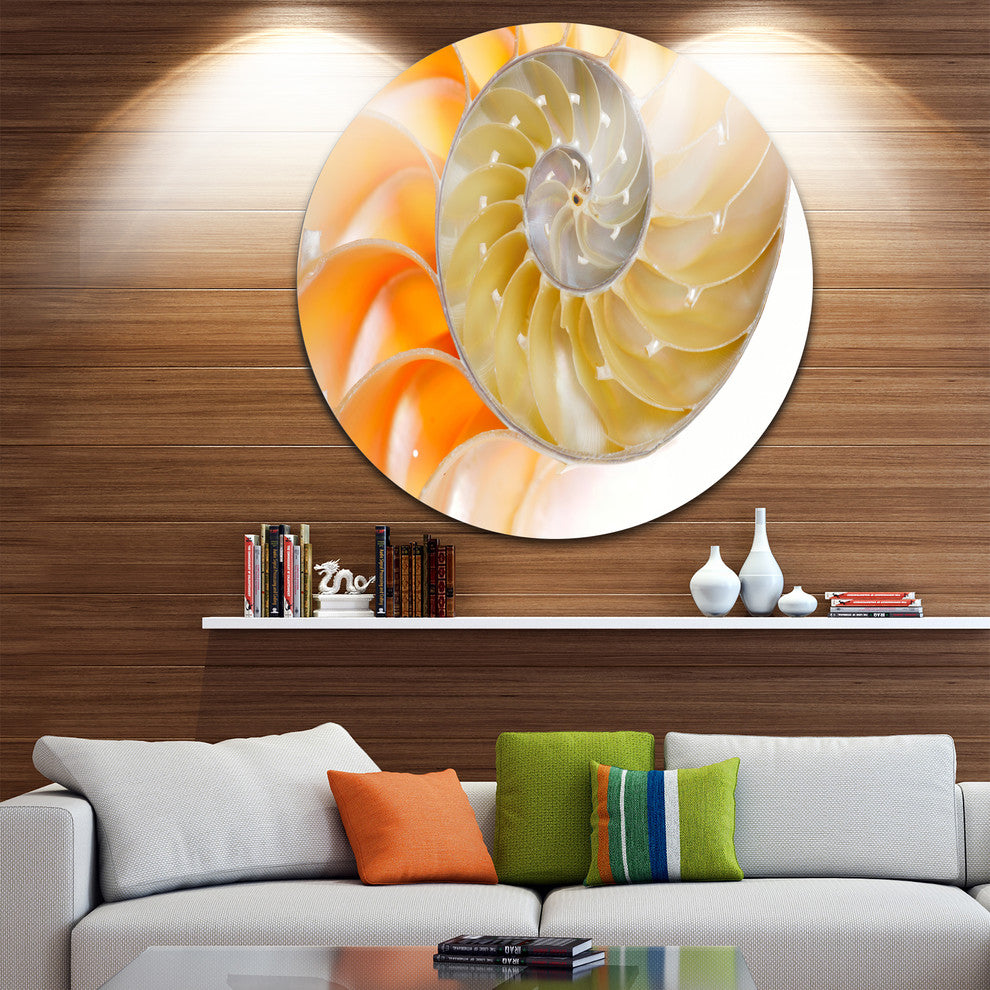 Isolated Nautilus Shell, Abstract Art Large Disc Metal Wall Art, 11"