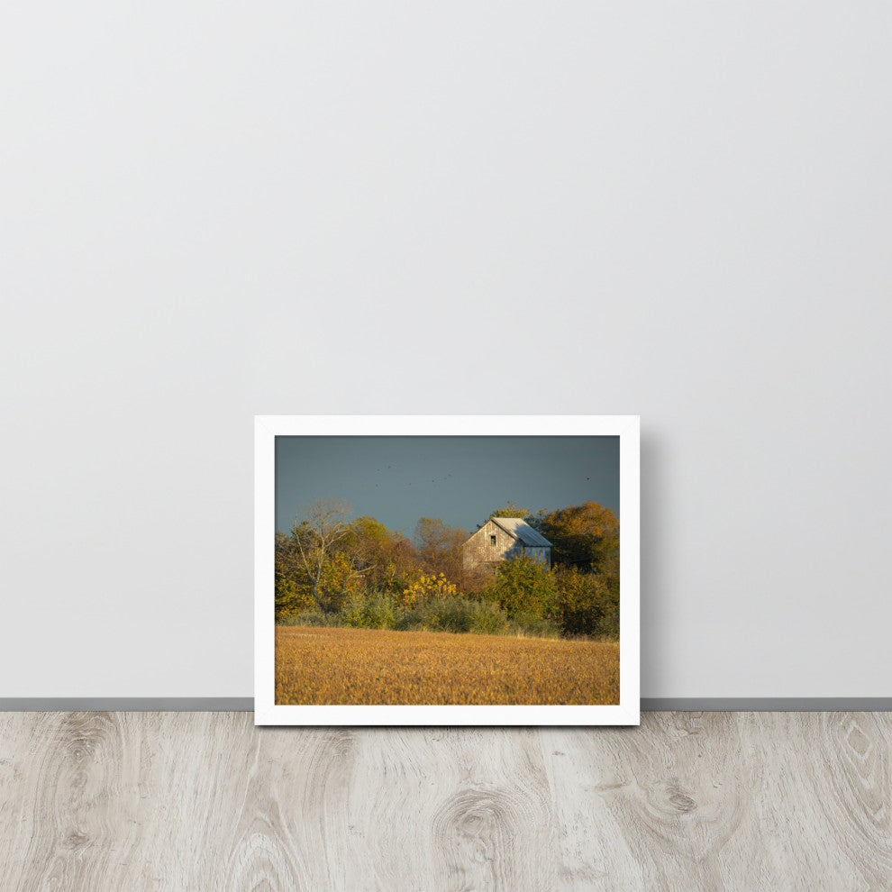 Abandoned Barn In The Trees Framed Photo Paper Wall Art Prints, White, 11" X 14"