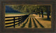 "Chasing Shadows" By Mike Jones, Framed Wall Art, Ready to Hang