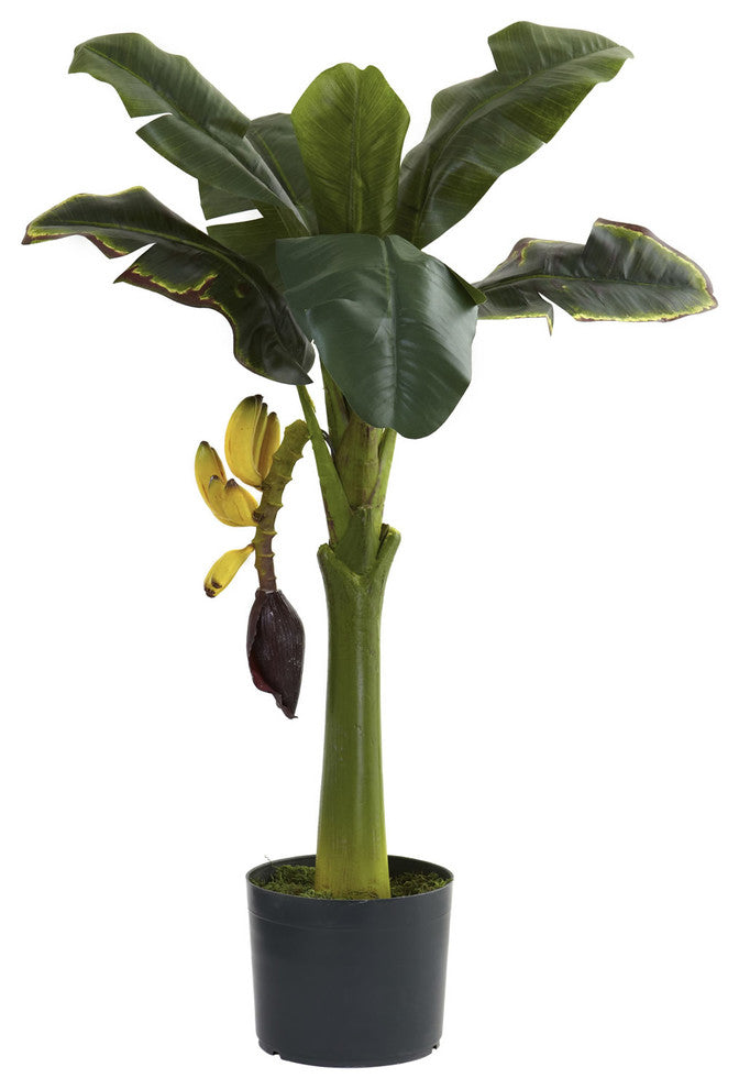 3' Banana Tree