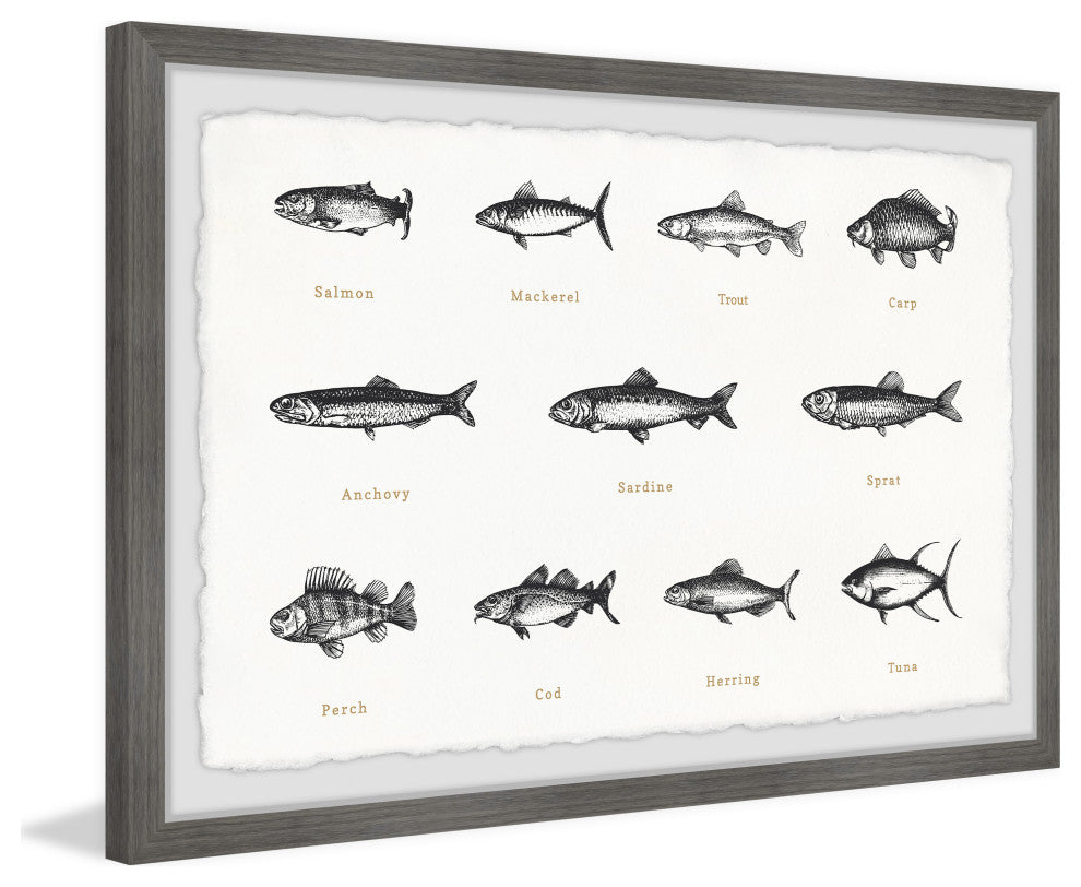 "Deep-Sea Fishes in White" Framed Painting Print, 12x8