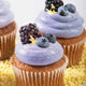 Holstein Housewares Cupcake Maker, 12 Full Size Muffins, Cinnamon Buns, and more, Black