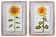 Framed Sunflower Print, 2-Piece Set