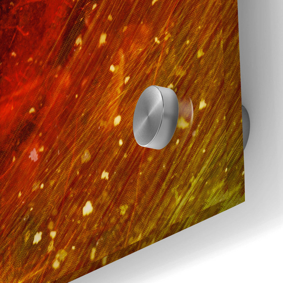 Epic Art 'Tremors' by Mario Sanchez Nevado, Acrylic Glass Wall Art, 24"x36"
