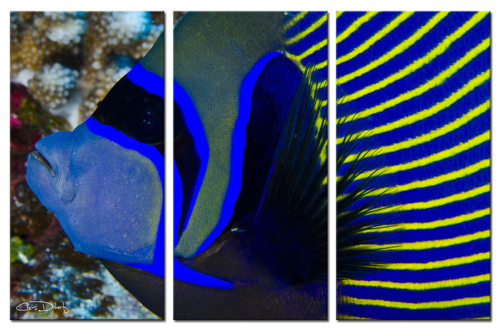 Ready2hangart Chris Doherty 'Underwater Bleus' 3-piece Canvas Wall Art