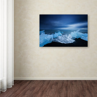 Philippe Sainte-Laudy 'Blue Day' Canvas Art