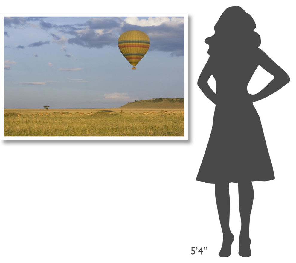 "Hot air balloon flying over herd, Masai Mara Triangle" Paper Art, 50"x34"