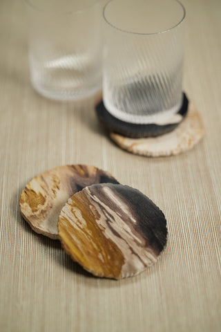Plover 4" Petrified Wood Coasters, Set of 4