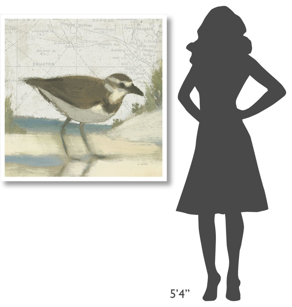"Beach Bird III" Digital Paper Print by James Wiens, 38"x38"