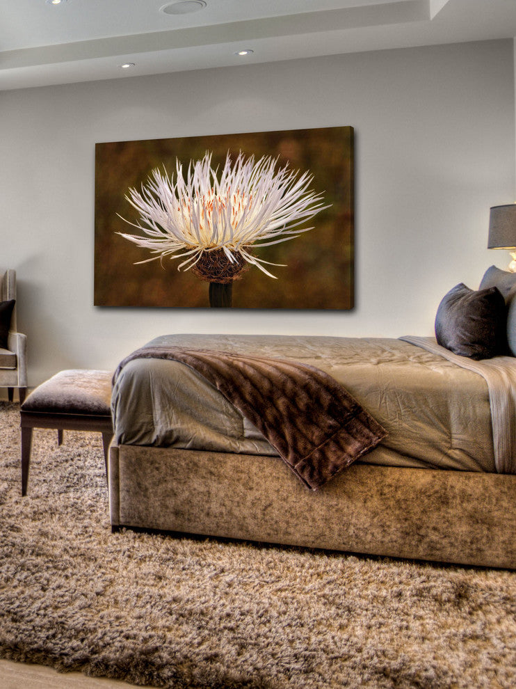 "Pleasant Disarray" Painting Print on Canvas by Robertson
