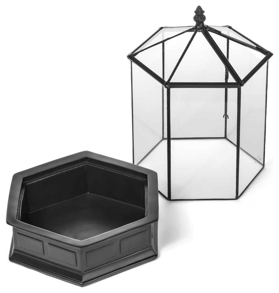 Six Sided Glass Terrarium, Wardian Case Plant Container