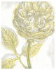 "Belle Fleur Yellow III" Digital Paper Print by Sue Schlabach, 24"x30"