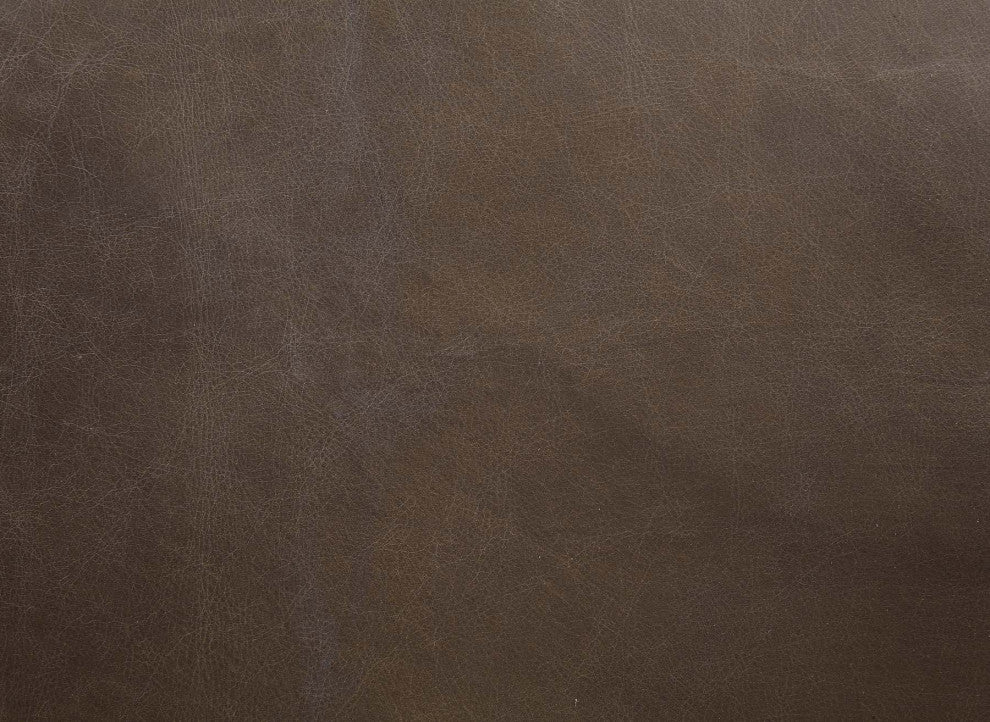 Metal Frame Accent Chair With Saturn Leather Cushion