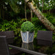 18in. UV Resistant Prelit Artificial Boxwood Ball Topiary, Planter