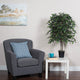 Vickerman 4' Mini Ficus Bush