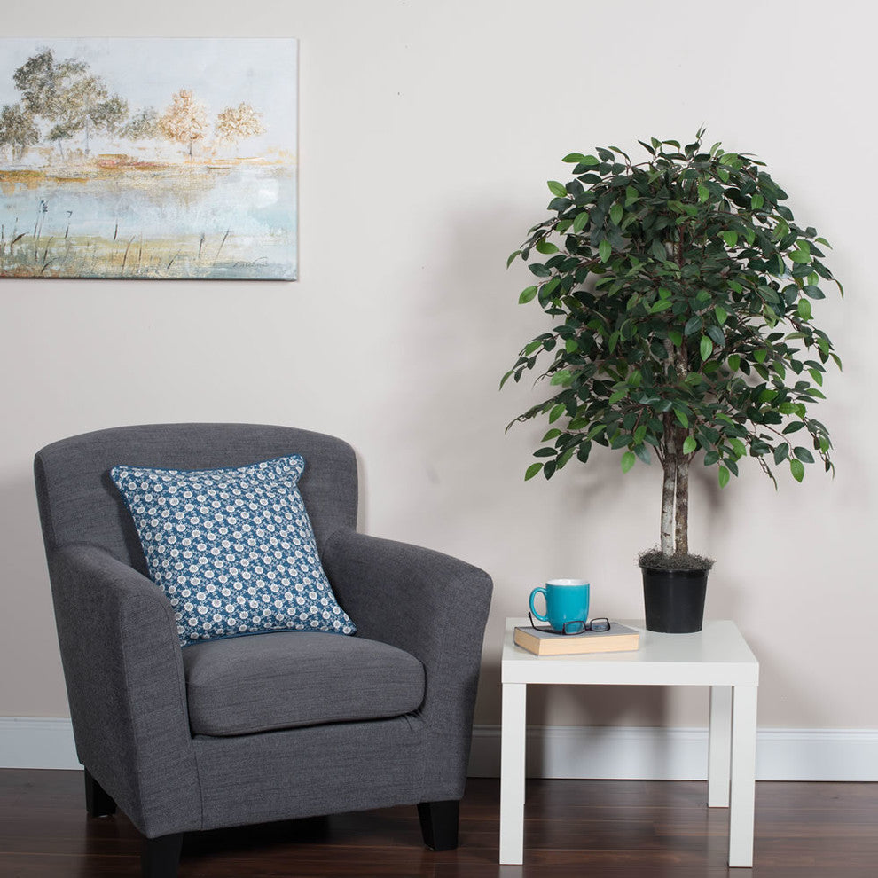 Vickerman 4' Mini Ficus Bush