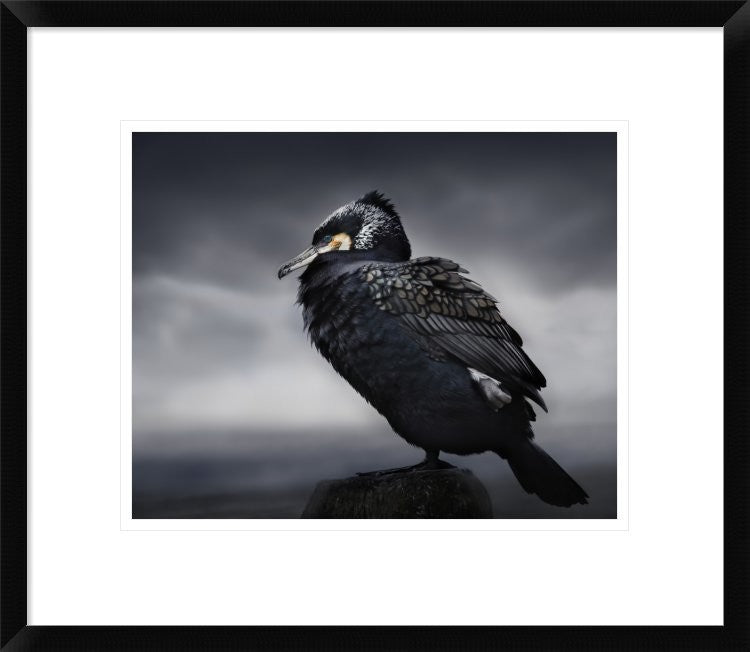 "Chief" Framed Digital Print by Martin Eilertsen, 22x19"
