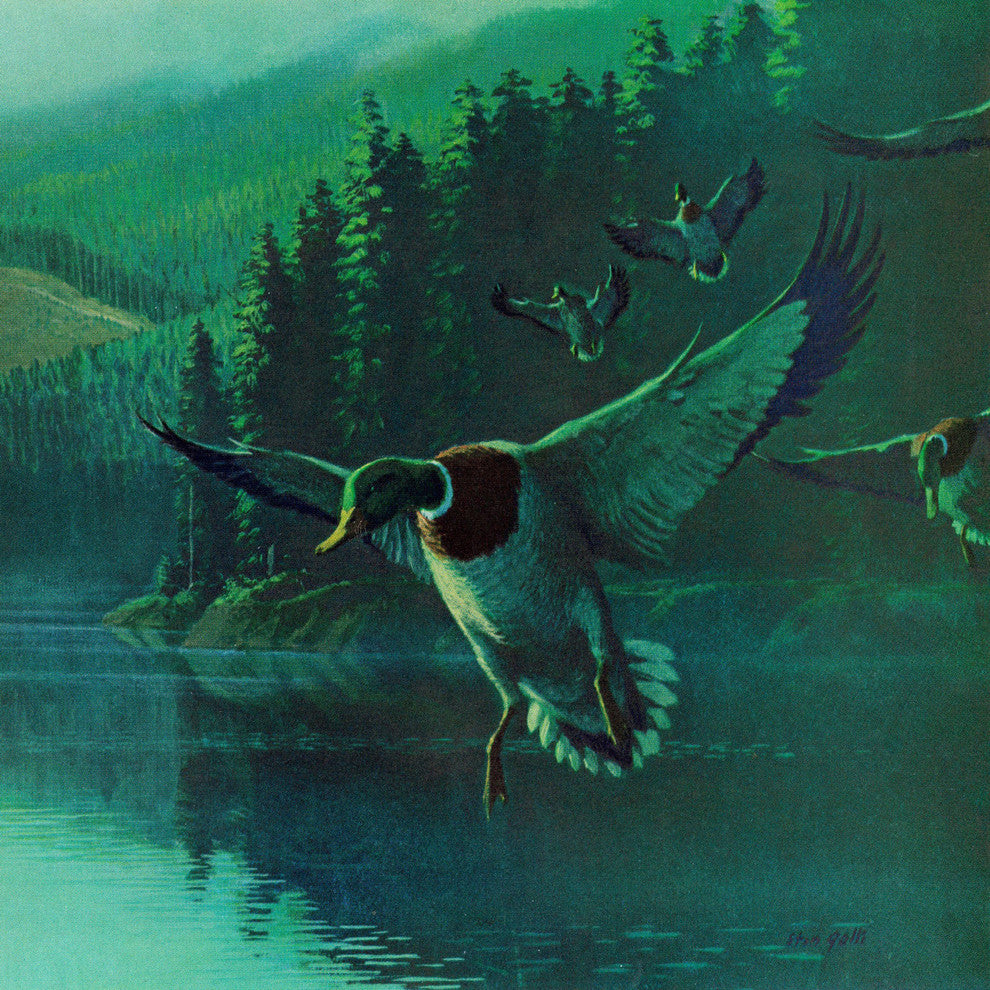 "Mallard Duck" Painting Print on Wrapped Canvas