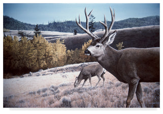 Ron Parker 'Mule Deer In Aspen' Canvas Art, 32"x22"