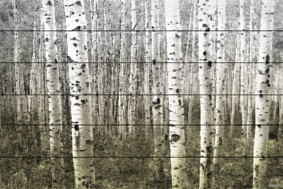 "Aspen Highland" Wall Art on Wood, 45"x30"