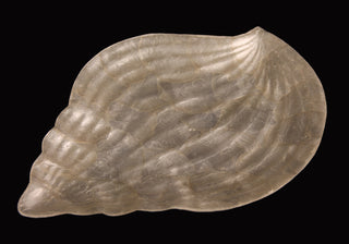 Natural Capiz Bojong Tray