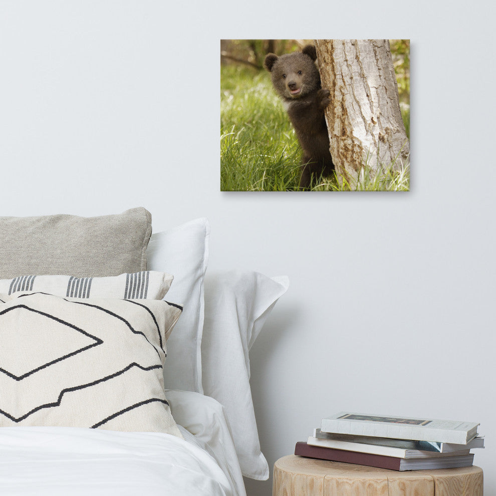 Baby Grizzly Bear Cub Behind Tree In Meadow Wildlife Photo Canvas Wall Art Print, 16" X 20"