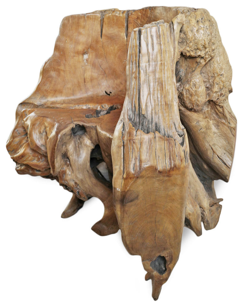 Free Form Burl Wood Root Chair