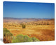 Prairie with Bright Blue Sky, Landscape Canvas Art Print, 40"x30"