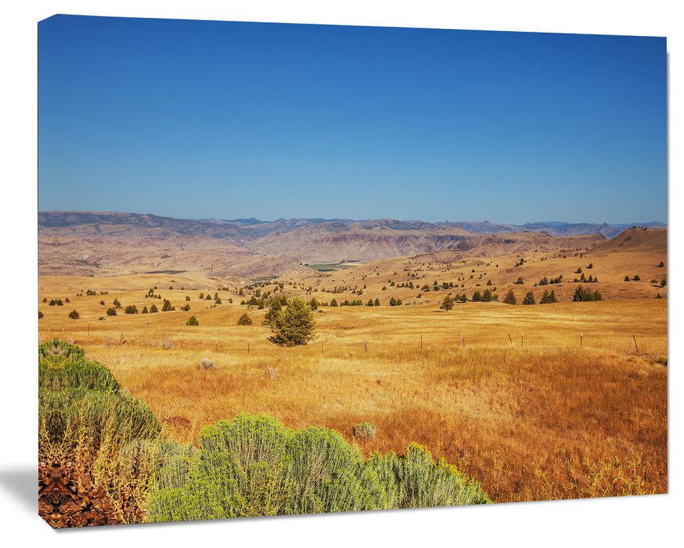 Prairie with Bright Blue Sky, Landscape Canvas Art Print, 40"x30"
