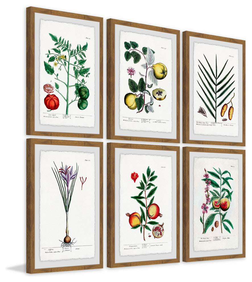"Plantas Jali Hexaptych" Framed Prints, 24"x36", 6-Piece Set