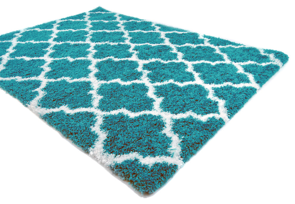Dubach Morrocan Trellis Shag Rug - Turquoise and White - 3' X 5'