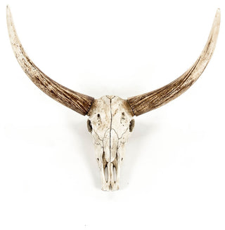 Bull Skull Wall Decor