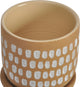 Contemporary Botanical Planter 4.5in Natural - Natural