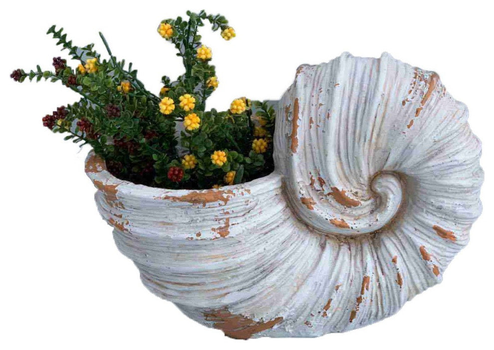 9" Distressed Cream and Terra Cotta Conch Shell Planter