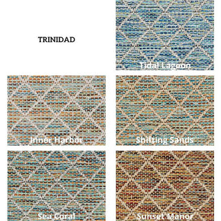 Trinidad Area Rug, Indoor/Outdoor, Carpet, Runner, Mat, Sunset Manor SQ 11'x11'