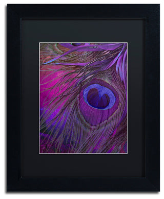 Color Bakery 'Peacock Candy IV' Art, Black Frame, Black Matte, 11"x14"