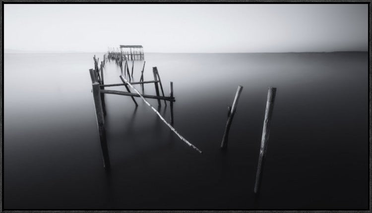Carrasqueira In Black And White, 36"x20"