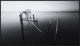 Carrasqueira In Black And White, 36"x20"