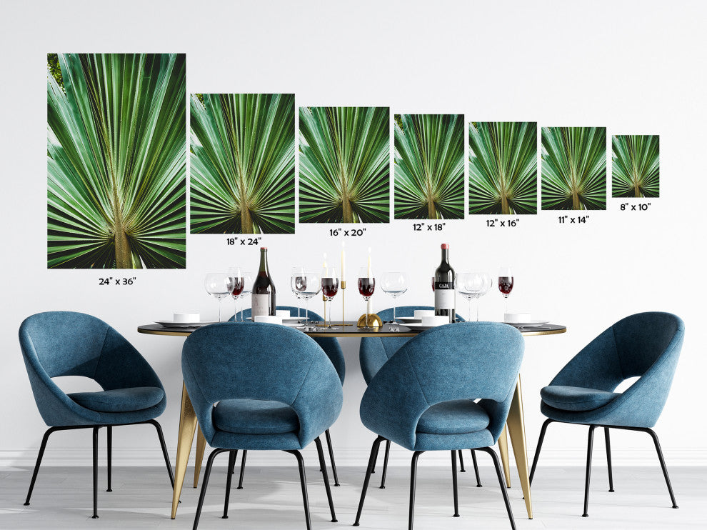 Banyan Tree With Glory Rays of Sunlight Botanical Photo Canvas Print, 16" X 20"