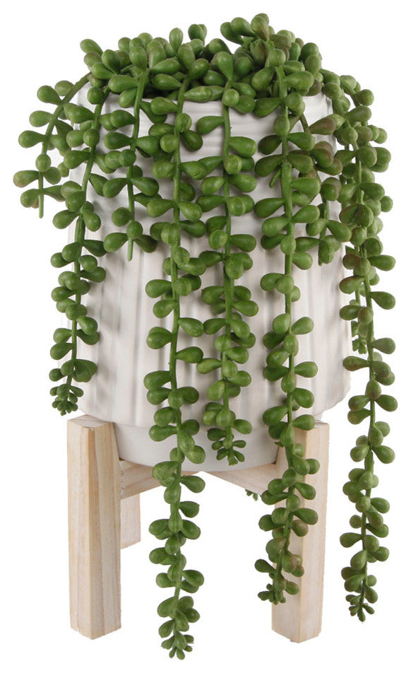 Faux Donkey Tail Succulent In Ceramic Pot With Wood Stand, 6"
