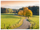 Winding Country Road in the Fall, Landscape Canvas Art Print, 40"x30"